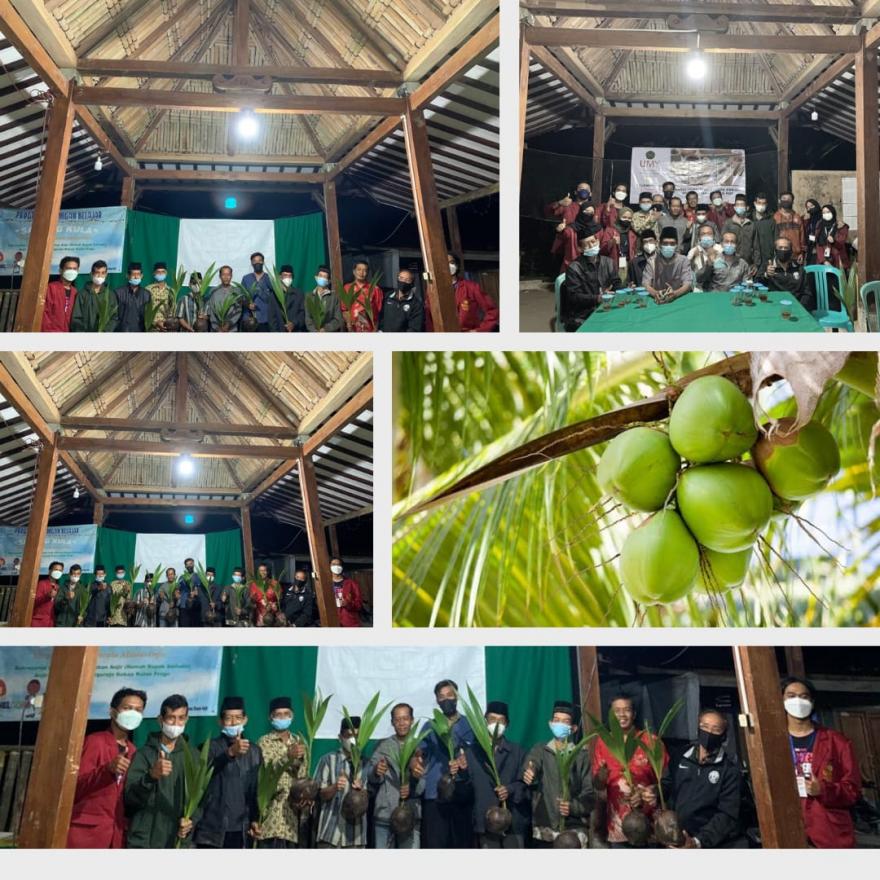 Kilas Balik Penyuluhan Bibit Kelapa Genjah, Berikut Keunggulannya!